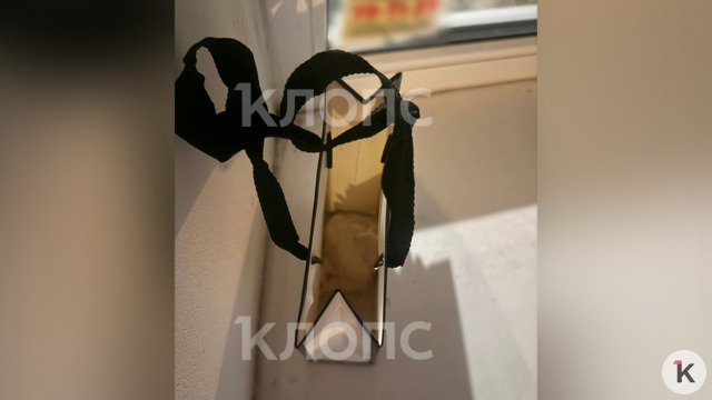 В Калининграде 15-летняя девочка прислала соседям видео убийства котёнка и повесила на их дверь пакет с его трупом