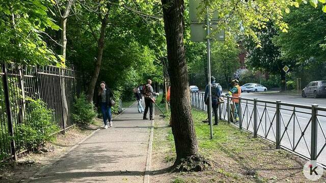 «Сил работать с этим подрядчиком уже нет»: мэрия Калининграда расторгла контракт на строительство парковки у ДОБ